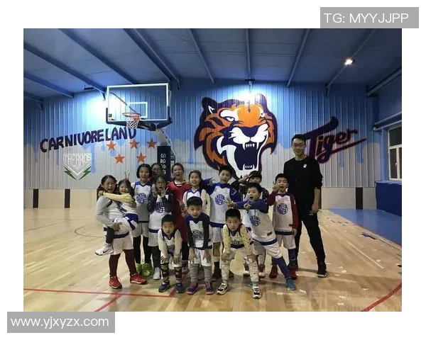 杭州乒乓球队实力解析：从训练到比赛的全方位探讨与展望