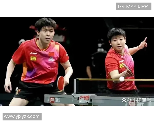 深入分析北京乒乓球队区域防守战术的优势与应用策略