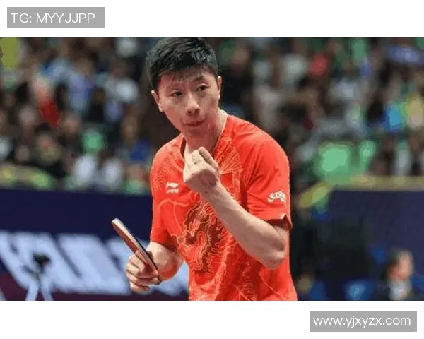 深入分析杭州乒乓球队独特的节奏打法与战术优势